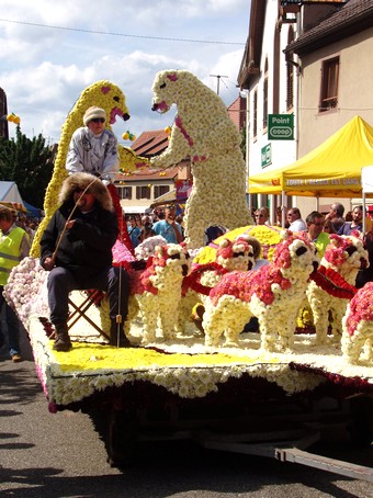 La fte de la mirabelle  Dorlisheim, en alsace